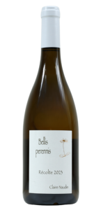 Claire Naudin Bellis Perennis 2023