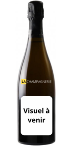 Domaine Ganevat Julien En Billat Enfant Terrible du Sud 2024