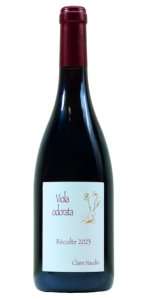 Claire Naudin Viola Odorata 2023